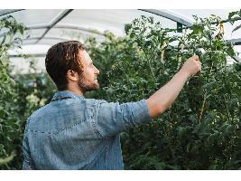 Trabajar en mejora vegetal, “de las mejores salidas profesionales”