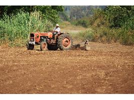 Un Plan Renove que se ajuste a las necesidades del sector, cumpla la ley de modernización agraria y no sea un rally para ver quién reserva antes.