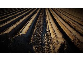 Un total de 176 jóvenes agricultores murcianos se benefician de 5 millones en ayudas para creación de empresas agrarias.