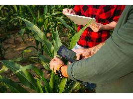 Unión de Uniones destaca que casi el 70% de los agricultores es mayor de 55 años