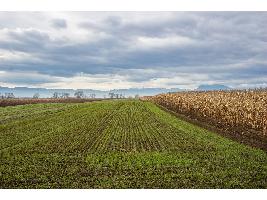 Ya se pueden solicitar las nuevas ayudas del Plan Agricultura y Ganadería Joven
