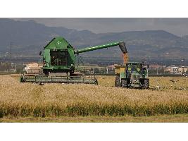 Aumenta la deuda de los sectores agrícola y agroalimentario