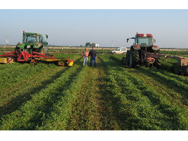 Primeros pasos para conseguir una ayuda asociada al cultivo de la alfalfa e incentivar su siembra