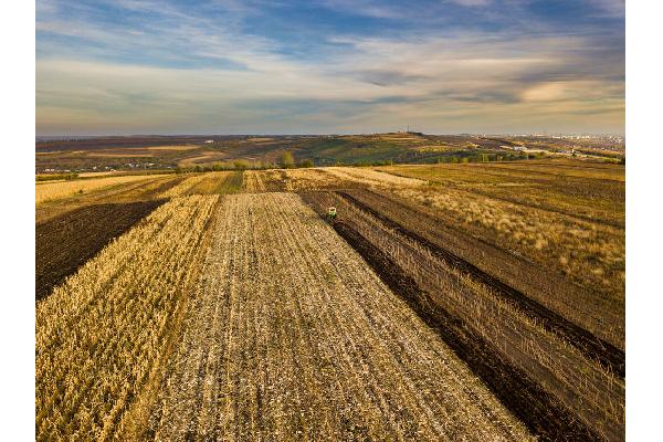 Agroseguro supera los 400 millones en indemnizaciones abonadas a productores de cultivos herbáceos por los siniestros causados por la sequía