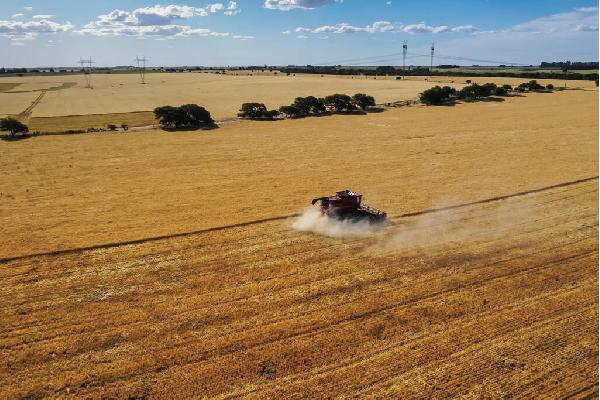 Andalucía abonará la subvención del seguro agrario en el momento de la contratación de la póliza de campaña