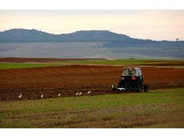 Autorizado el convenio entre Enesa y Agroseguro para la ejecución de los planes de seguros agrarios en el ejercicio 2020 