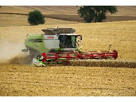 Cooperativas estima una gran cosecha nacional de cereales con 24,47 millones de toneladas, por encima de la primera estimación