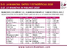 ¿Cuáles son los municipios con más hectáreas de uva con DO La Mancha?.