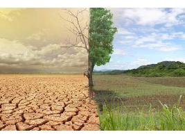 El Gobierno prevé aprobar en 2022 la nueva estrategia contra la desertización y ya apunta a la agricultura y el regadío