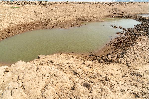 El Gobierno sigue negociando con las CCAA y el sector agrario las ayudas a la sequía para ejecutarlas lo antes posible