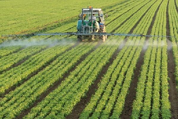 El Ministerio de Agricultura, Pesca y Alimentación publica el listado de los 234.291 agricultores que recibirán casi 281 millones de euros de las ayudas para compensar el aumento del precio de los fertilizantes
