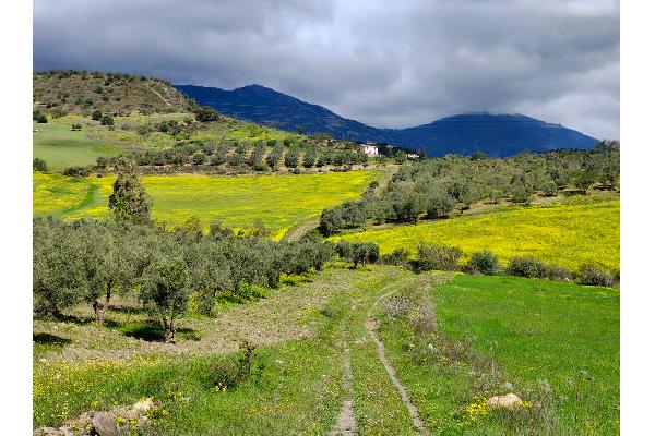 El mundo rural andaluz se prepara para la llegada de fondos europeos con los que hacer frente a la despoblación y la crisis climática
