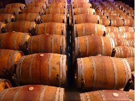 El stock de vino y mostos en España alcanzó los 59,3 Mhl al cierre de febrero.