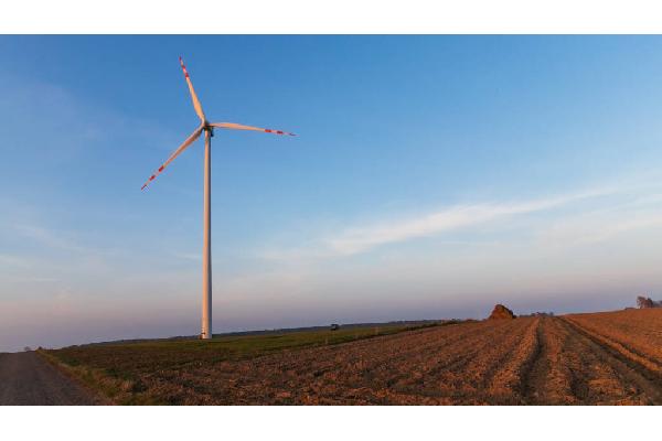 Empresas agrarias y energéticas piden impulsar las renovables sin doble filo