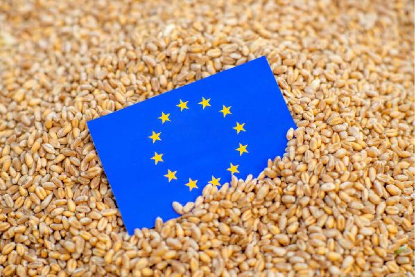 Europa empieza a asumir que algo debe cambiar: la presidenta de la CE aboga por encontrar un nuevo consenso sobre el futuro de la agricultura