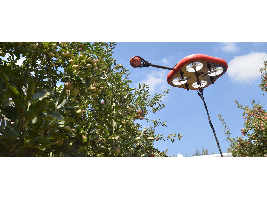 Kubota invierte en Tevel, empresa líder en drones autónomos para la recolección de frutas.