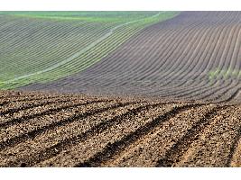 Desde su implantación en España hace cinco años, la aplicación del “Pago Verde” ha propiciado importantes avances en términos de biodiversidad y mejora del suelo