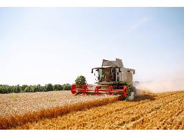 La Eurocámara aprueba la reforma de la PAC: Satisfacción con críticas del sector agrario y solo crítica y enfado de los ambientalistas