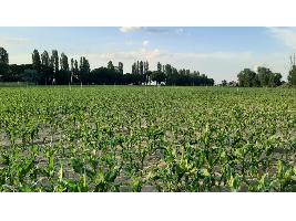 Las cinco propuestas concretas que el Ministerio de Agricultura ha "lanzado" sobre la reforma de la PAC