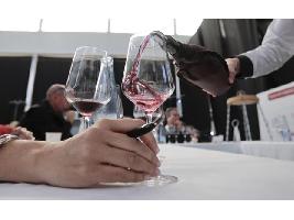 Los Premios Zarcillo reconocen a 16 Grandes Oros, entre ellos seis vinos de Castilla y León