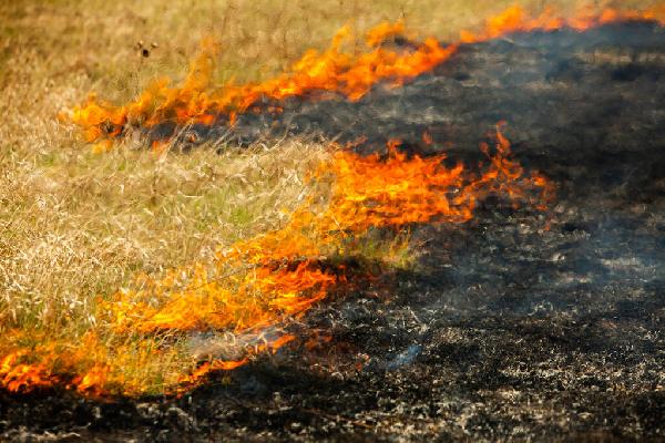 Luz verde al proyecto de ley de la PAC con cambios: se retira la prohibición de las quemas y habrá seguro de sequía al regadío