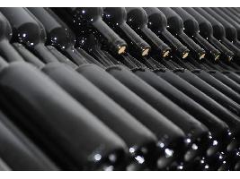 Todo listo para Green Wine Future by Wineally, la mayor cumbre medioambiental del vino