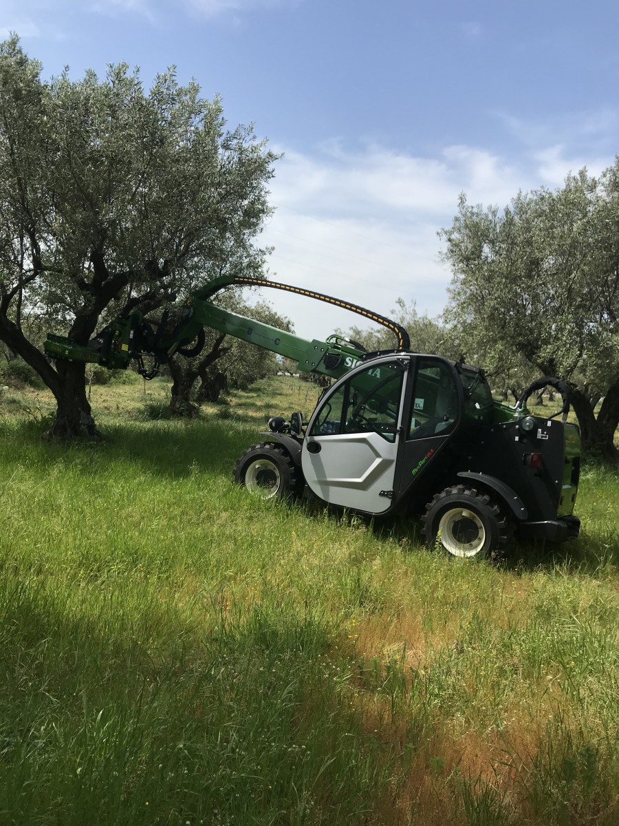 Mini cargador 4×4 SICMA con pinza vibrante