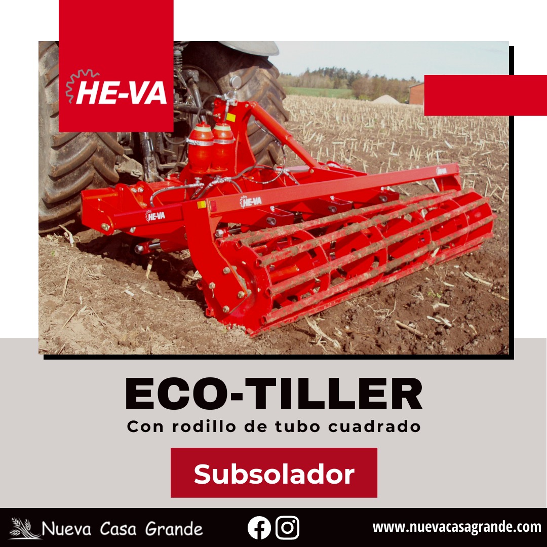 ECO para línea clave