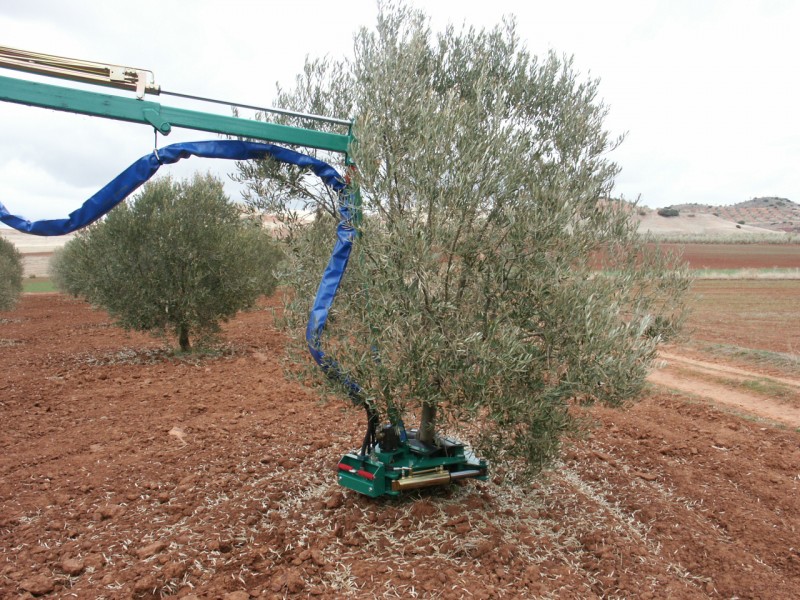 Bautista Santillana  VBP-8600 - 2