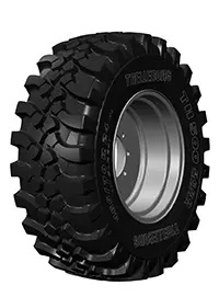 TH500