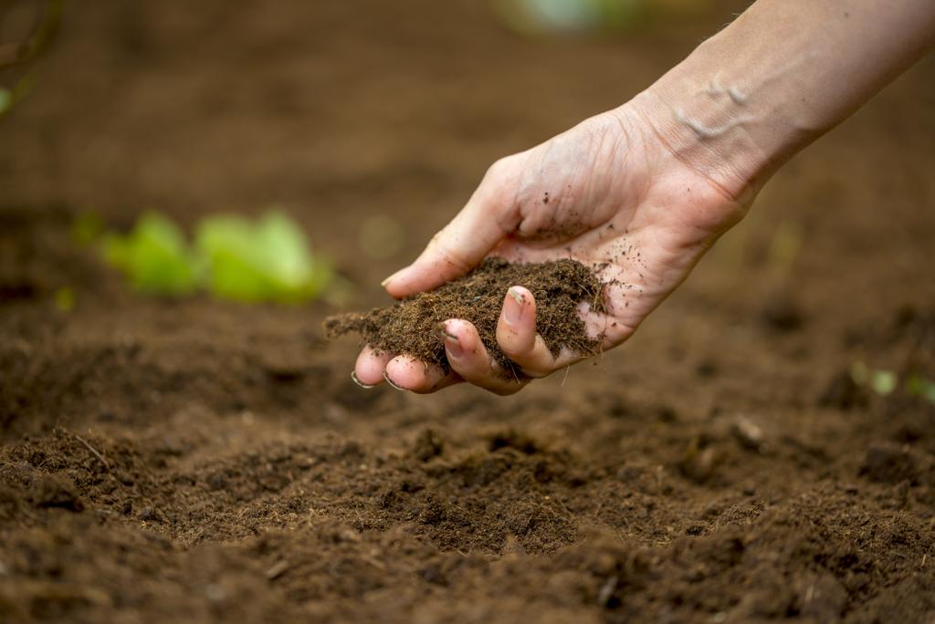 Nace SOILBIO, un proyecto que investigará los efectos del manejo agrícola de los suelos sobre su biodiversidad