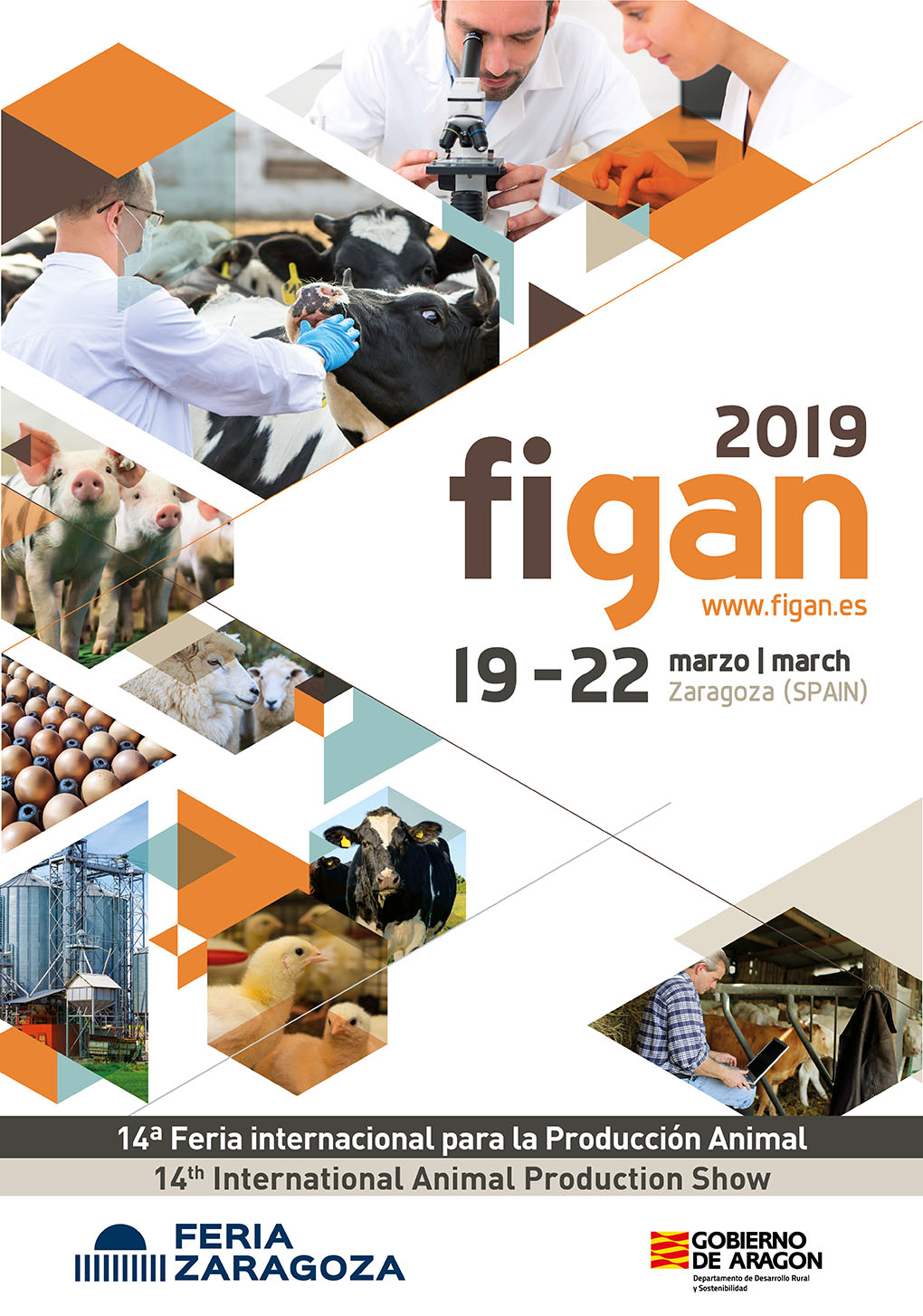 Feria Figan 2019
