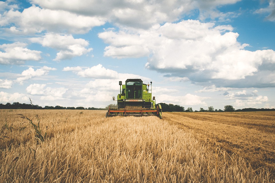 Agricultura amplía al 8 de julio el plazo para solicitar ayudas a la creación de empresas para jóvenes agricultores