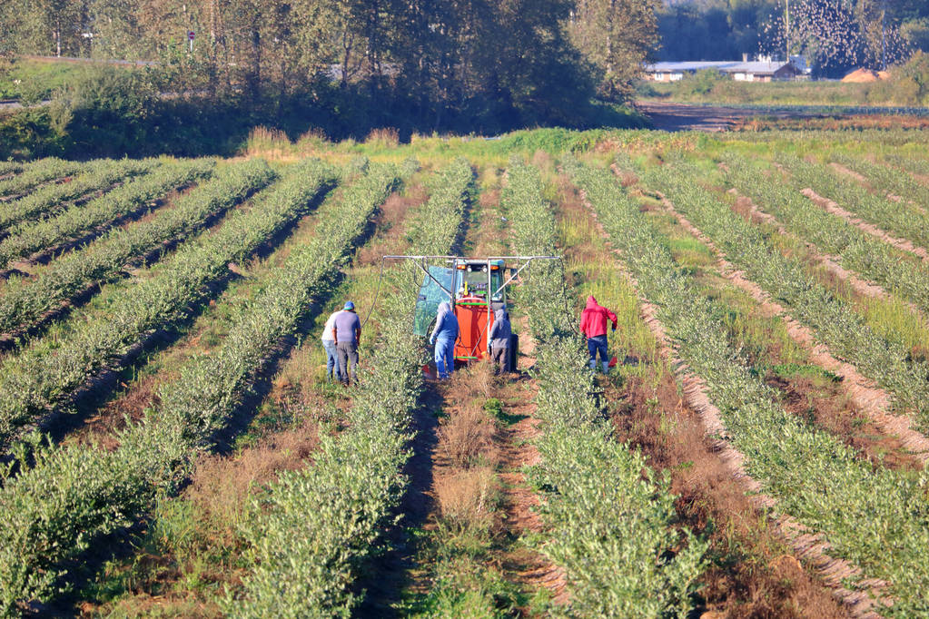 Agricultura moviliza 105 millones de euros en créditos para 2.640 agricultores