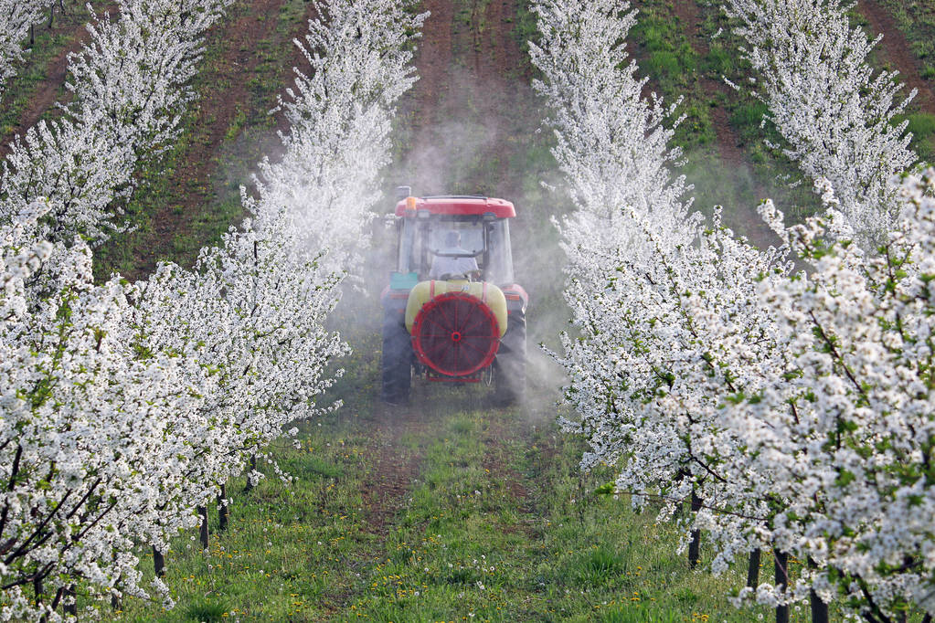 Bruselas retira la ley que pretendía reducir en un 50% el uso pesticidas y promete involucrar a agricultores en la nueva propuesta - 0