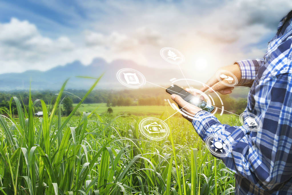 El Gobierno aprueba las normas que regularán la concesión de 75 millones de euros en ayudas a proyectos innovadores en el sector agroalimentario