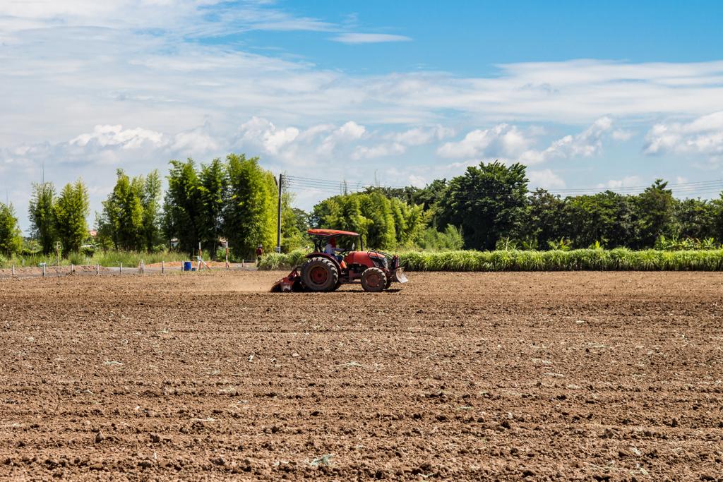 El Gobierno convoca subvenciones destinadas a la obtención de avales de SAECA para el sector agroalimentario