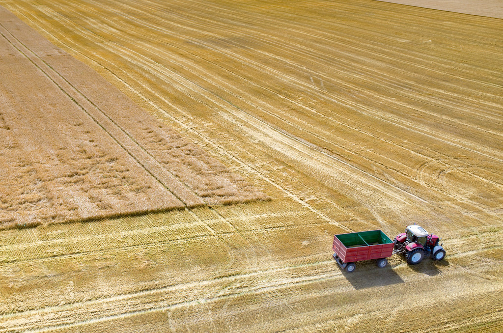 El Gobierno inicia el procedimiento de pago de 712 millones de euros en ayudas extraordinarias a agricultores y ganaderos afectados por la sequía