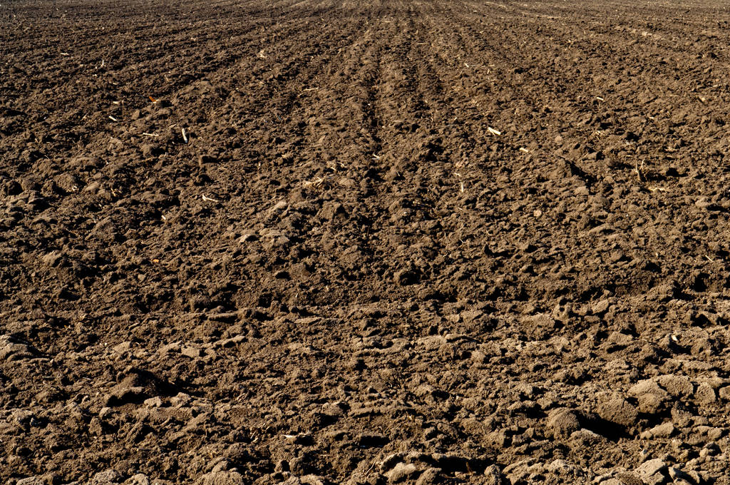 El Ministerio de Agricultura, Pesca y Alimentación analizará el contenido en carbono de los suelos agrícolas de España