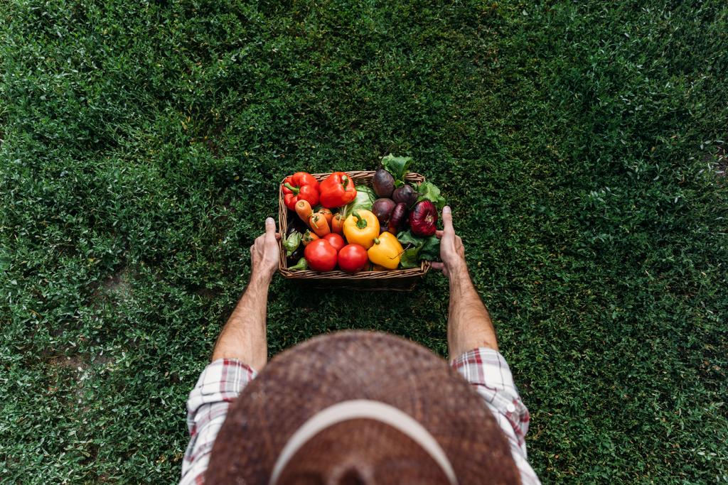 El Ministerio de Agricultura, Pesca y Alimentación inicia el procedimiento de consulta pública de un real decreto que agiliza la implementación del Programa Cultiva
