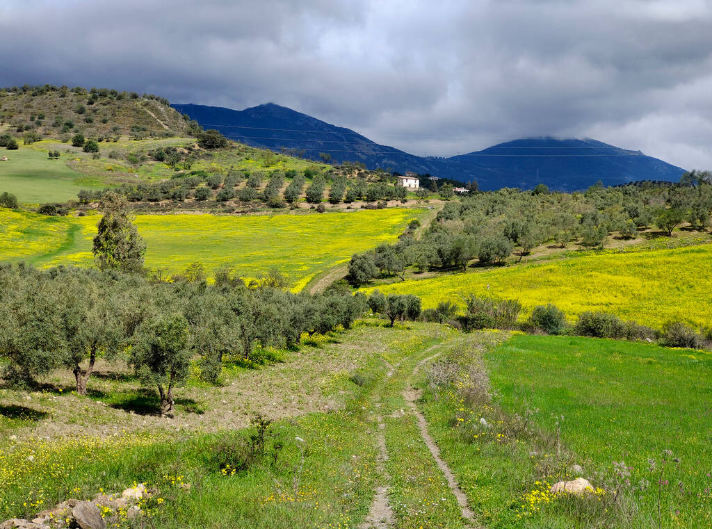El mundo rural andaluz se prepara para la llegada de fondos europeos con los que hacer frente a la despoblación y la crisis climática