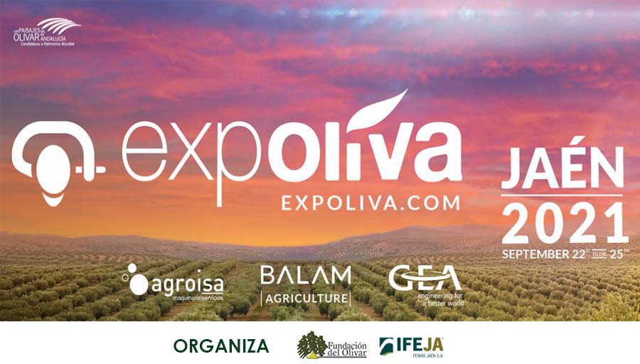 Felipe VI inauguró este miércoles Expoliva, la feria que sitúa a Jaén en el epicentro mundial del sector oleícola - 0