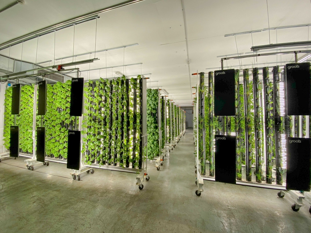 Granjas verticales, el método que lleva la agricultura del campo a la ciudad