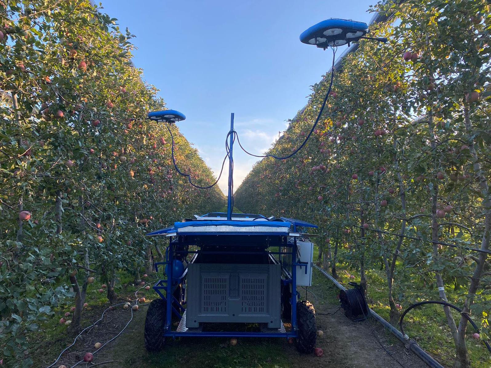 Kubota y Tevel ganan el DLG Agrifuture Concept Award 2022 por su Sistema Automatizado de Recogida de fruta de desarrollo conjunto.