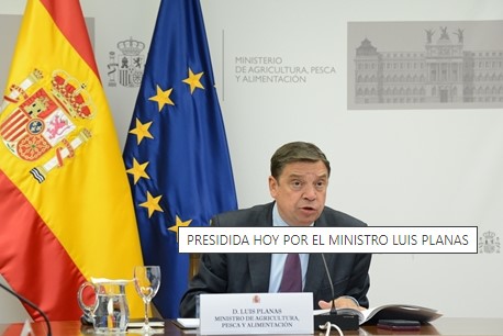 La Conferencia Sectorial de Agricultura acuerda el reparto de 294,61 millones de euros entre las comunidades autónomas para distintos programas agrícolas y ganaderos