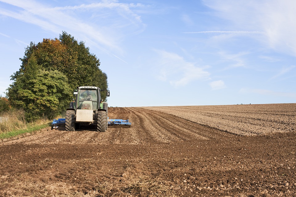 La renta agraria se mantiene estable (+0,1 %) en 2021 y alcanza los 28.361 millones de euros