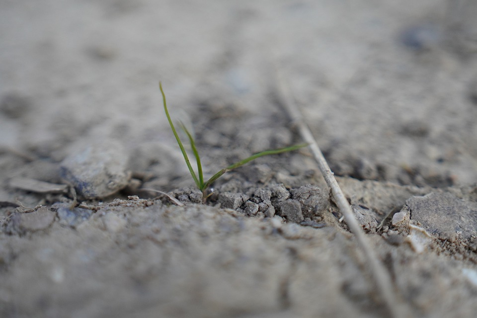 Luis Planas: Las medidas contra la sequía son un buen instrumento para el sector agrario