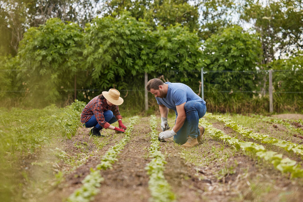 Luis Planas: “Por una agricultura con agricultores”