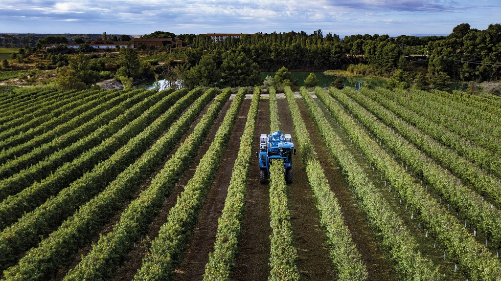 New Holland presenta la recolectora Braud 11.90 X Multi para plantaciones superintensivas