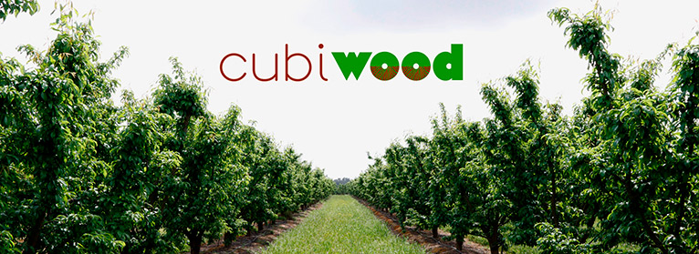 UPA lanza el proyecto Cubiwood para ayudar a los agricultores a implementar cubiertas vegetales en cultivos leñosos